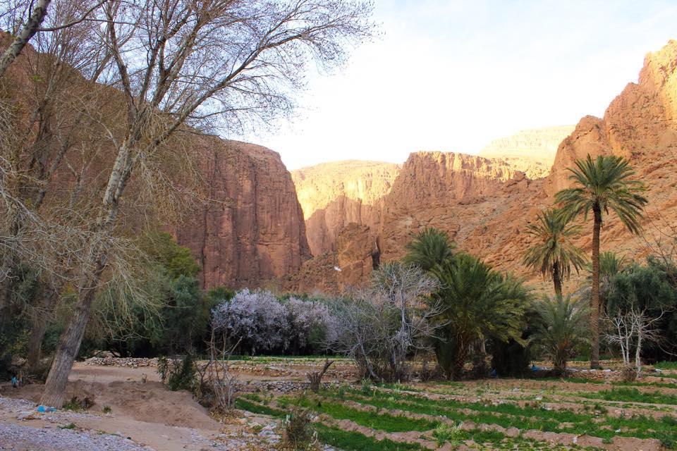 Dar Ayour Todra Gorges Aït Baha Zewnętrze zdjęcie